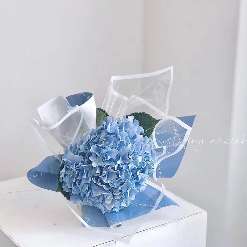 Papel de regalo de flores de plástico con borde monocromático transparente MYHC-15