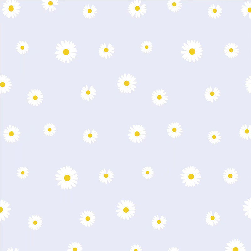 Papel de regalo de flores con película Fresh Little Daisy Pearl MYHC-18