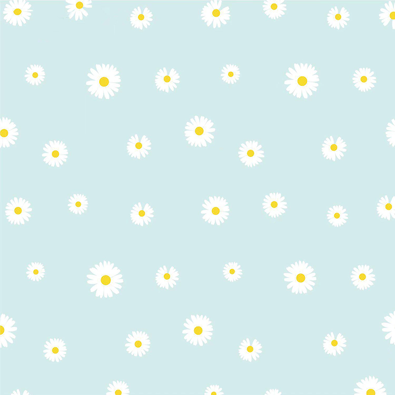 Papel de regalo de flores con película Fresh Little Daisy Pearl MYHC-18