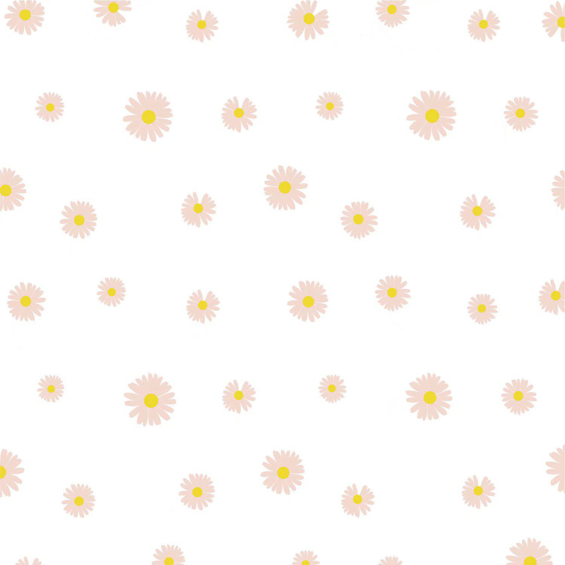 Papel de regalo de flores con película Fresh Little Daisy Pearl MYHC-18