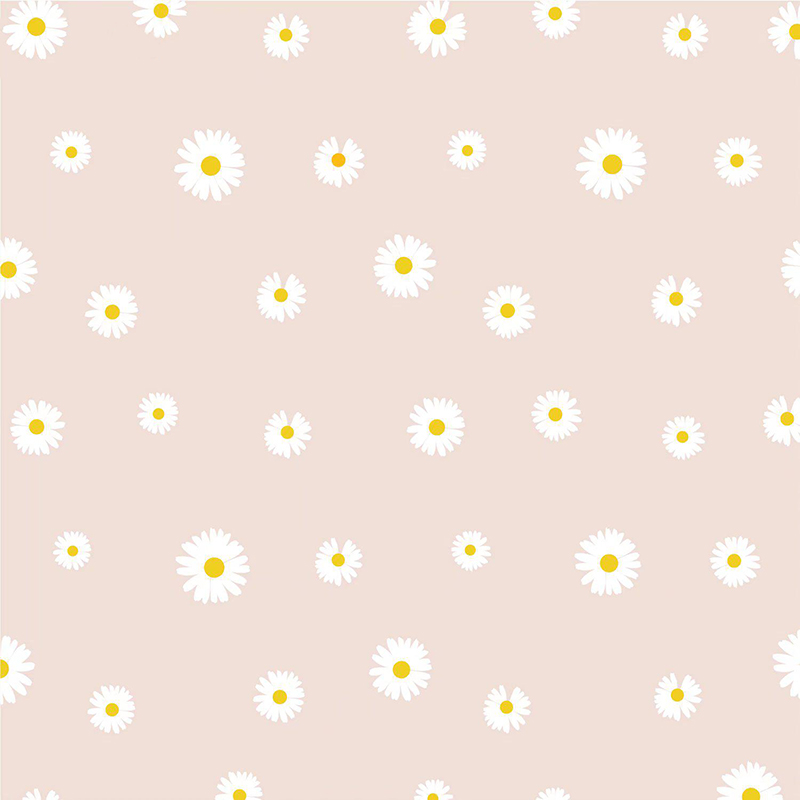 Papel de regalo de flores con película Fresh Little Daisy Pearl MYHC-18