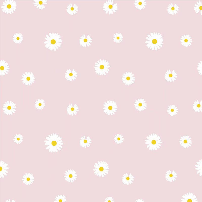 Papel de regalo de flores con película Fresh Little Daisy Pearl MYHC-18