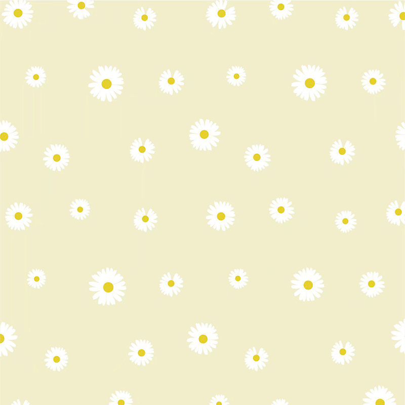 Papel de regalo de flores con película Fresh Little Daisy Pearl MYHC-18