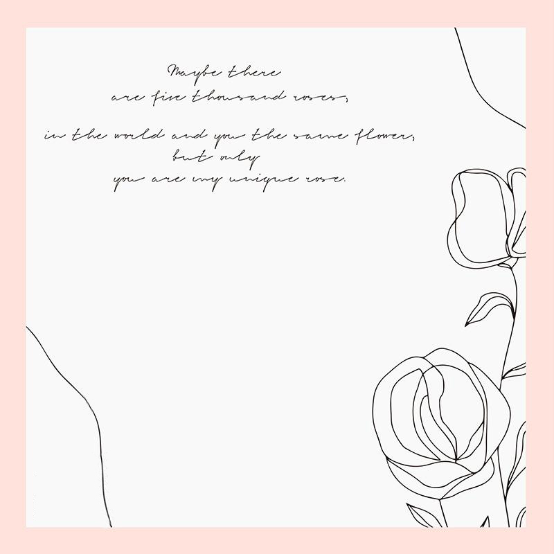 Papel de regalo de flores de algodón con borde de contraste de estilo simple MYHC-42