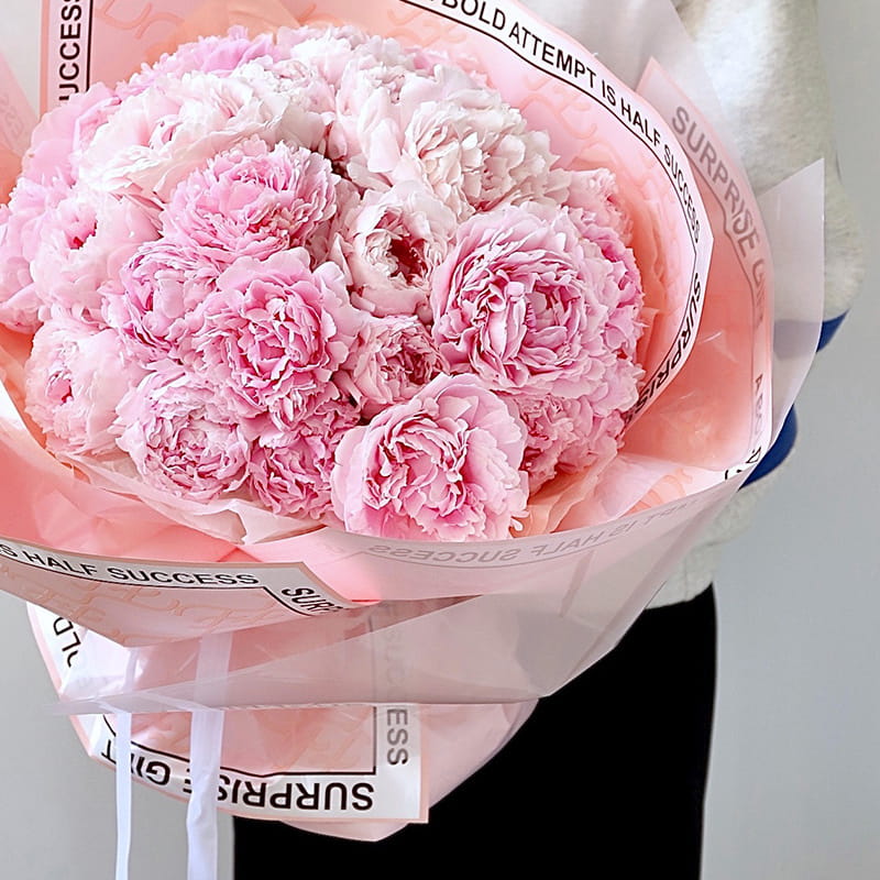 Papel de regalo de flores de marca Hera en varios colores.