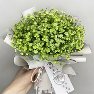 Papel de regalo de ramo con textura simple